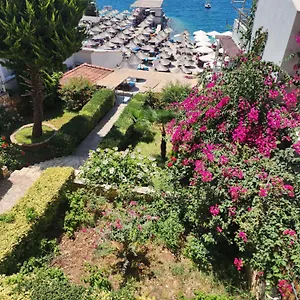 Amelie's & , Sarandë Albanië